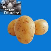 Quand la patate est arrivée dans nos assiettes